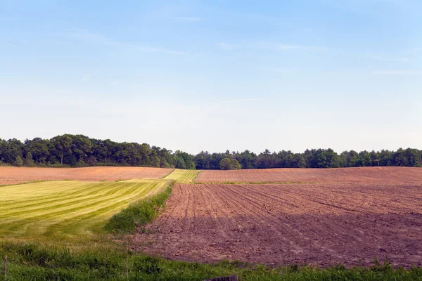 American Country Landscape — Stock Photo, Image