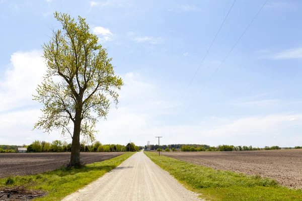 Загородная дорога - гравий — стоковое фото
