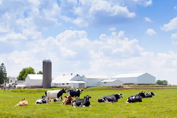 Mjölk gård — Stockfoto