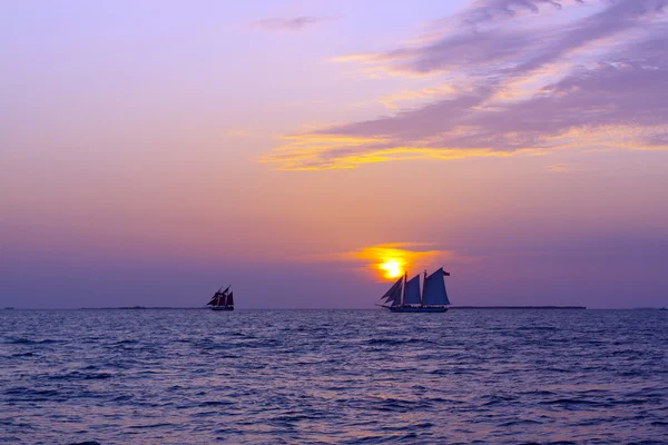 stock image Sailing Boats