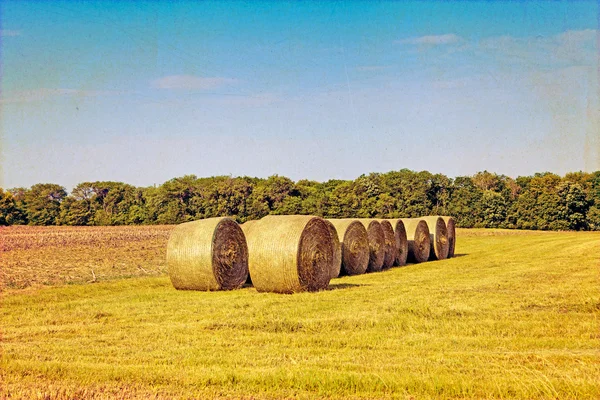 Bundle of hay — Stock Photo, Image