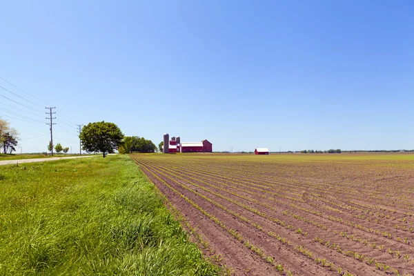 Countryside Landscape with Farm — Stock Photo, Image