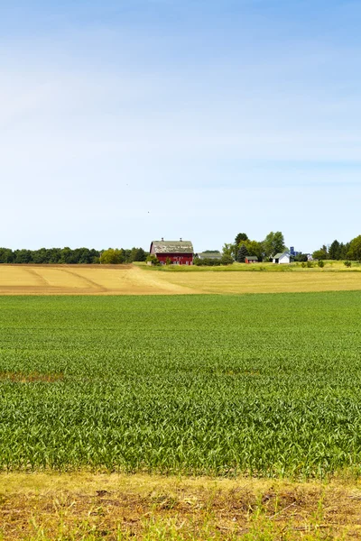 Деревенский пейзаж с фермой — стоковое фото