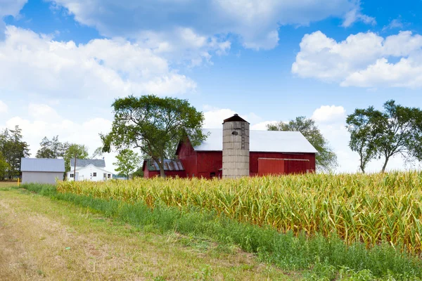 Field with Farm Buildings in the background — Stock Photo, Image