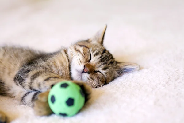 Китти с футбольным мячом — стоковое фото