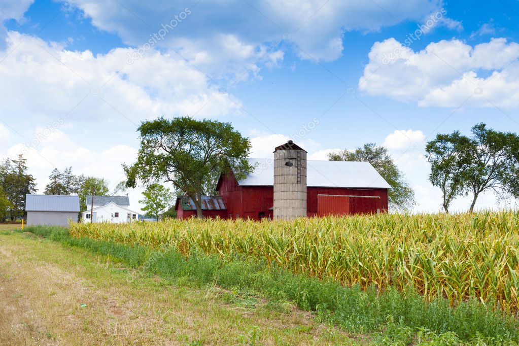 Field with Farm Buildings in the background