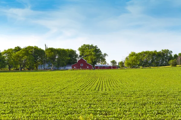 Amerikaanse landbouwgrond — Stockfoto