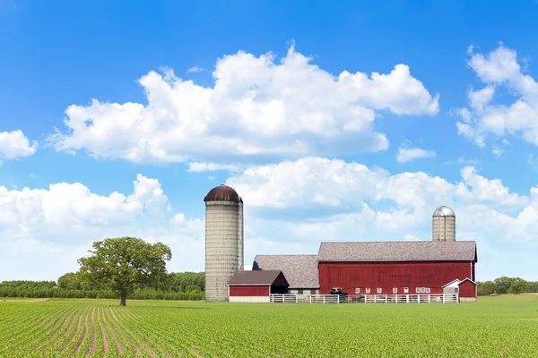 Terras agrícolas americanas — Fotografia de Stock