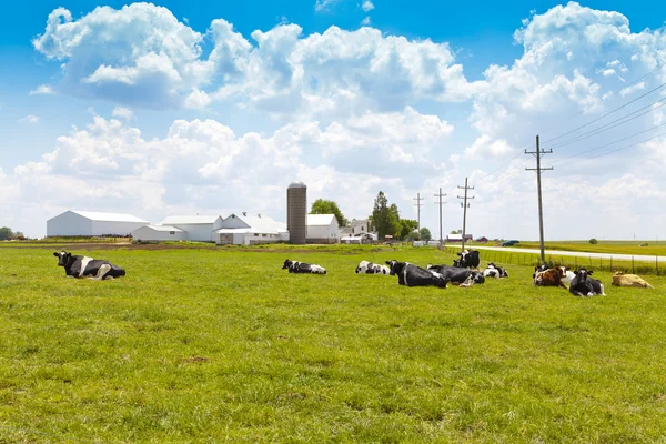 Tierras agrícolas americanas — Foto de Stock