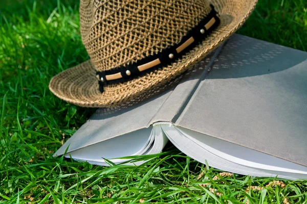 Bok och halm hat på gräs — Stockfoto