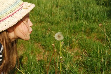 The girl and the dandelion 043 clipart