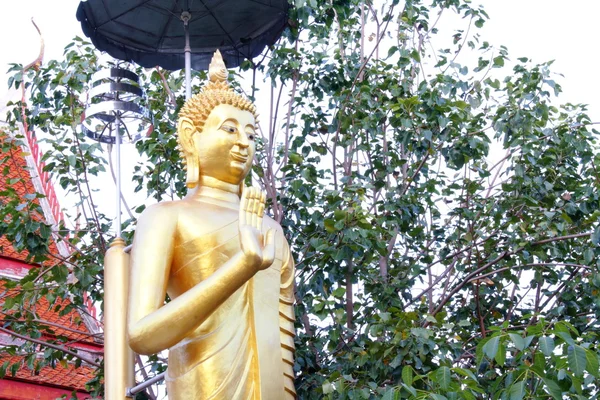 Bilden av buddha, thailand — Stockfoto