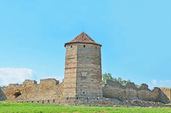 Tour de forteresse — Photo