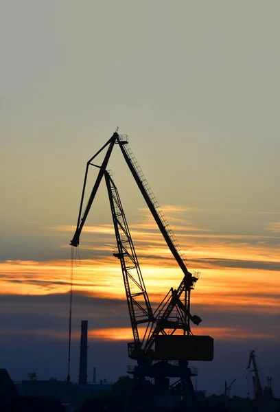 Port cargo crane at sunset — Stock Photo, Image
