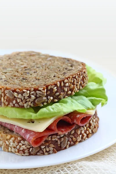 Sandwich met salami — Stockfoto