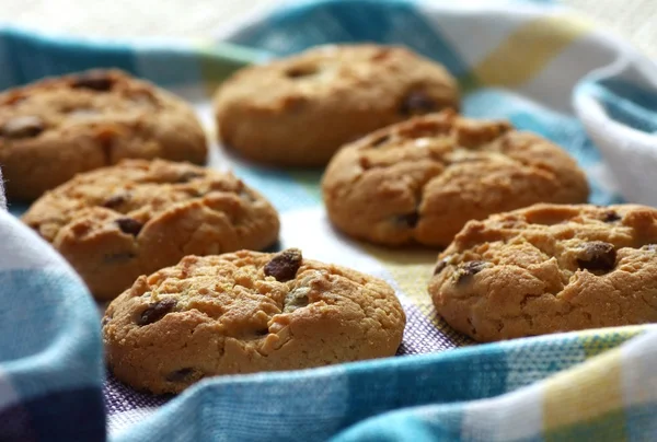 Hemlagad chip cookies Royaltyfria Stockfoton