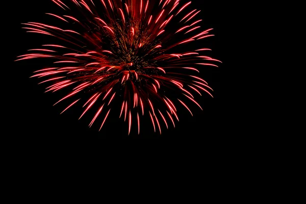 One flash of fireworks against the black sky — Stock Photo, Image