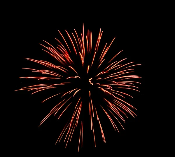 One flash of fireworks against the black sky — Stock Photo, Image