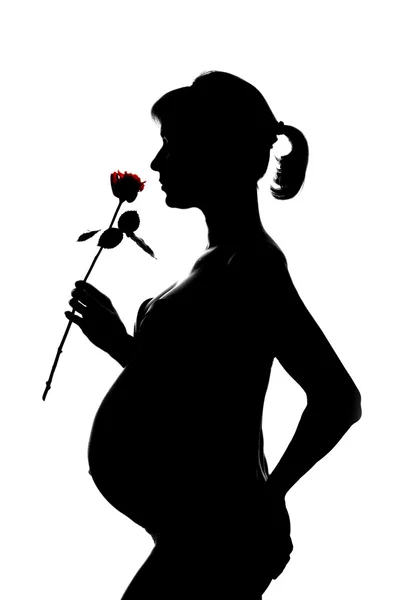Силуэт молодой беременной женщины в профиле с розой — стоковое фото