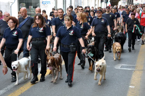 stock image Dogs club