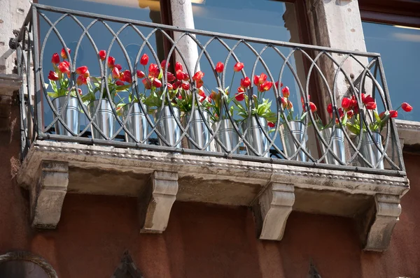 Varanda com tulipas — Fotografia de Stock