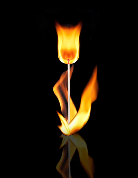 Вогняна квітка на чорному — стокове фото