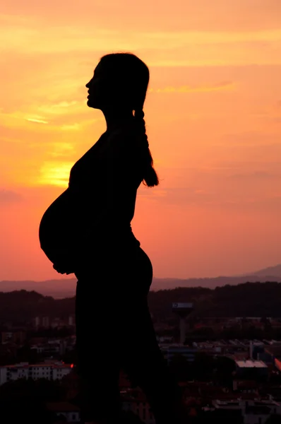 Silhouette di una donna incinta al tramonto — Foto Stock