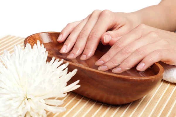 Hands Spa. Manicure concept — Stock Photo, Image