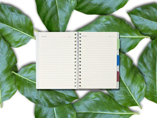 Notepad on leaf — Stock Photo, Image