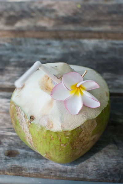 stock image Coconut