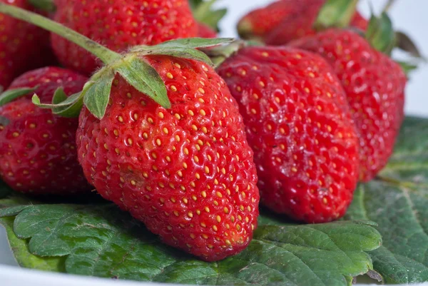 stock image Strawberry