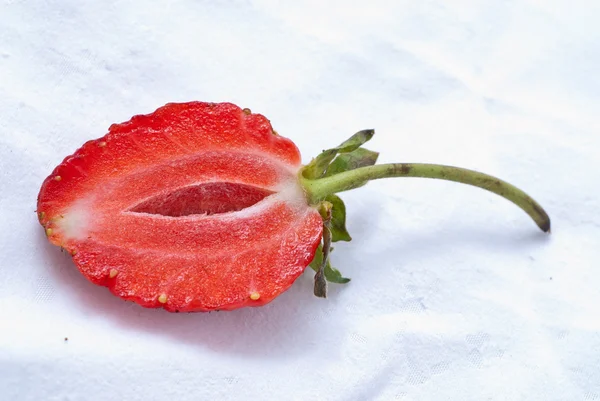 stock image Strawberry