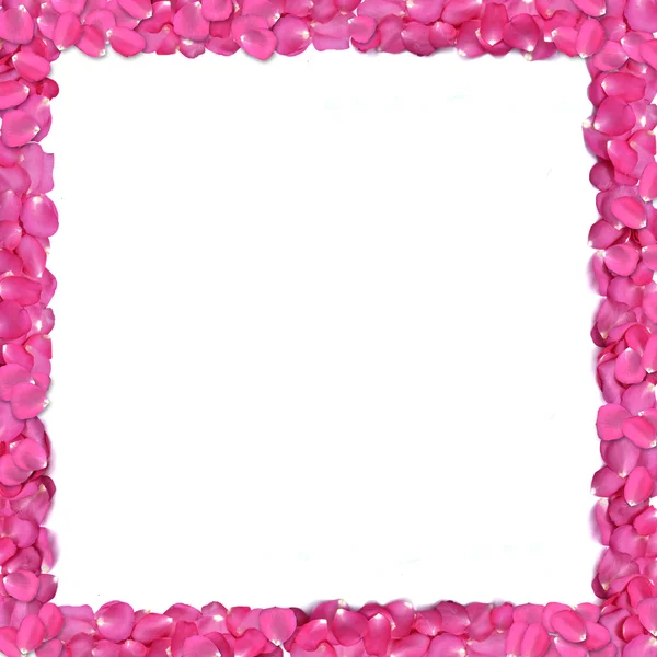 Rózsaszirmok keret — Stock Fotó