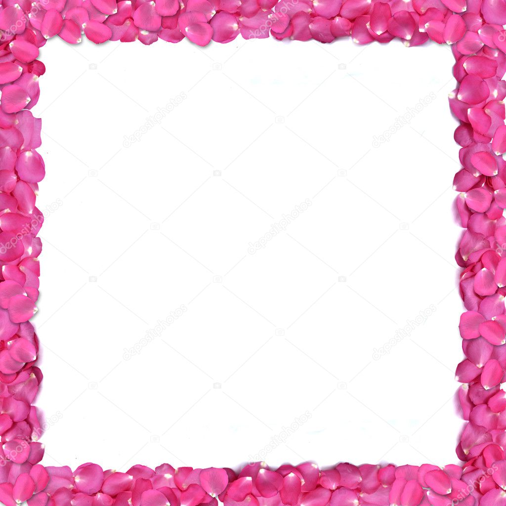 Rose petals frame