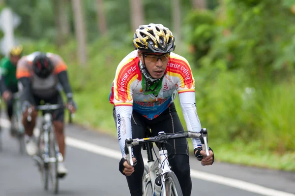 stock image Bike race