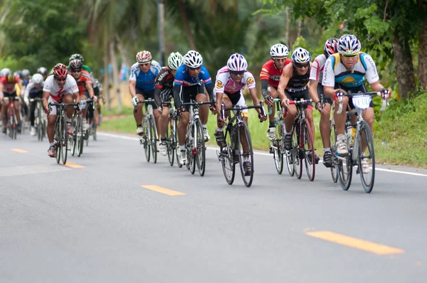 stock image Bike race