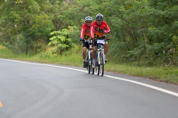 Stock image Bike race