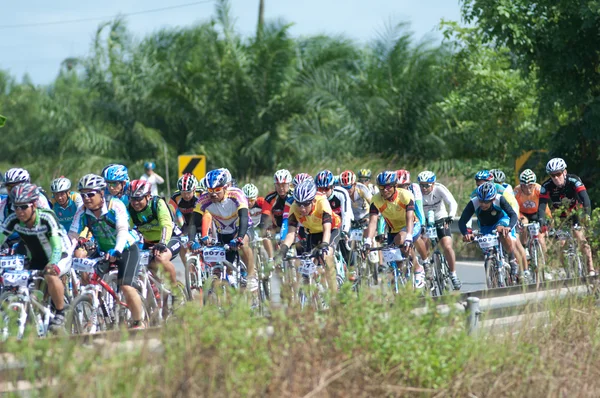 stock image Bike race