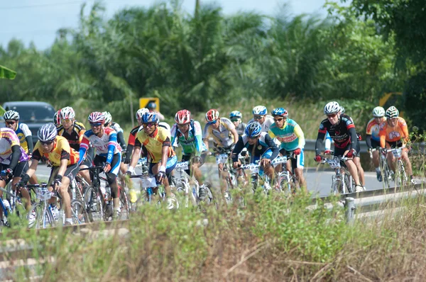 stock image Bike race