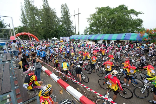 stock image Bike race