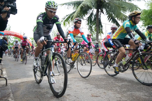 stock image Bike race