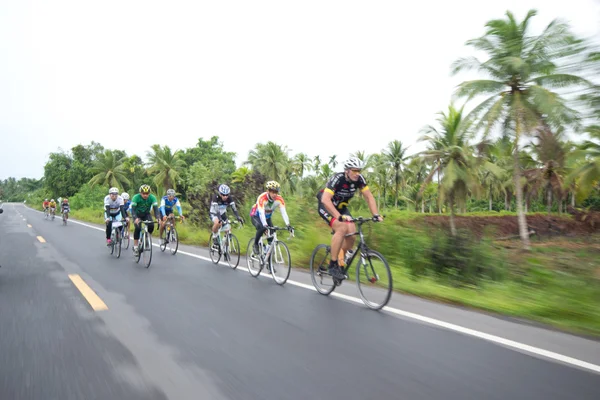 stock image Bike race