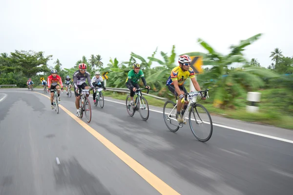 stock image Bike race