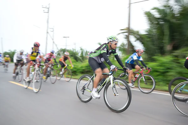 Stock image Bike race