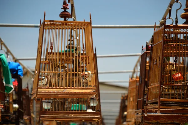 Traditional birdcages — Stock Photo, Image