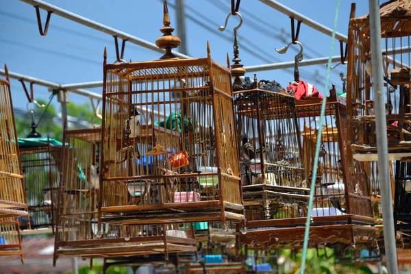 Cages à oiseaux traditionnelles — Photo