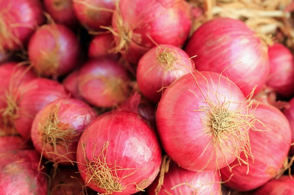 Fresh ripe heap of pink colored salad onions — Stock Photo, Image