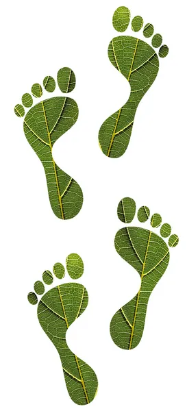 Red de natuur concept - groene blad menselijke voetafdrukken — Stockfoto