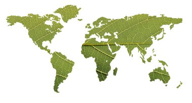 yaprağı kullanılarak ekolojik denge kavramı-Dünya Haritası