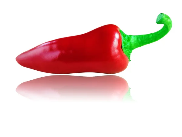 Full and ripe organic red chilli or chili pepper isolated on whi — Stock Photo, Image